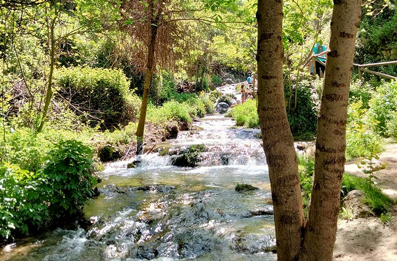 Río Cerezuelo - Cazorla