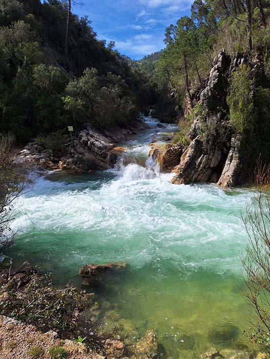 Rio Borosa - Parque Natural Sierras de Cazorla, Segura y Las Villas