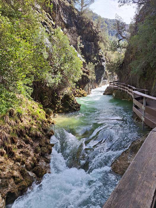 Rio Borosa - Parque Natural Sierras de Cazorla, Segura y Las Villas