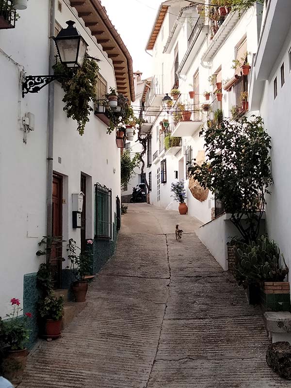 Cazorla - Parque Natural Sierras de Cazorla, Segura y Las Villas